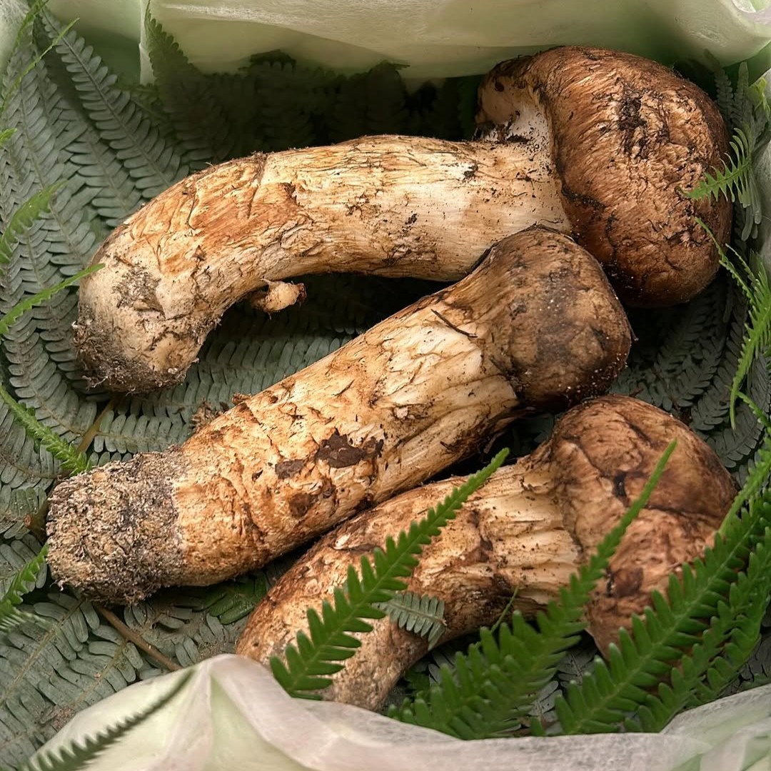 懐石斉藤のお料理の一例画像